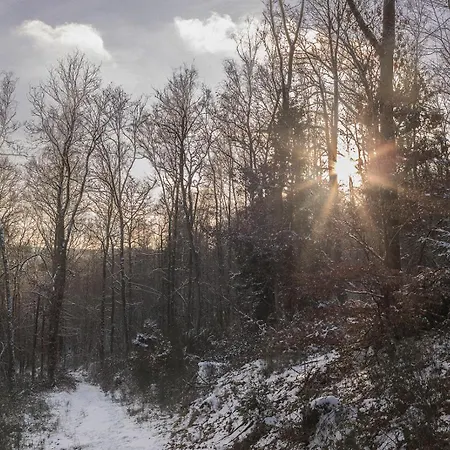 Le De Christine * Vresse-sur-Semois